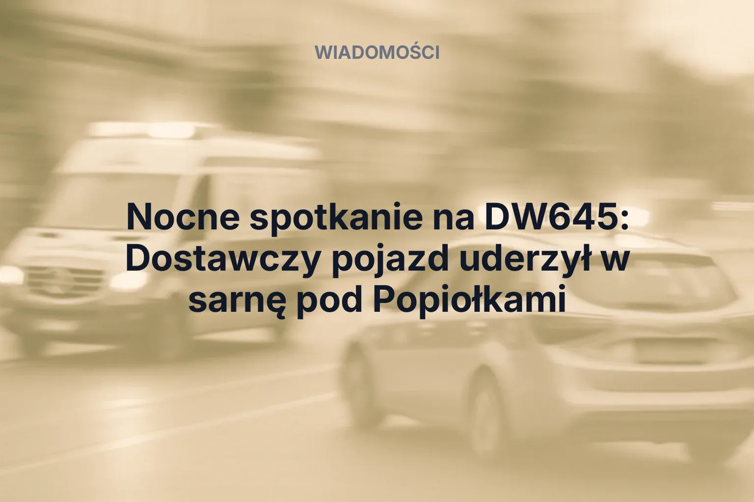 Miniatura: Nocne spotkanie na DW645: Dostawczy pojazd uderzył w sarnę pod Popiołkami